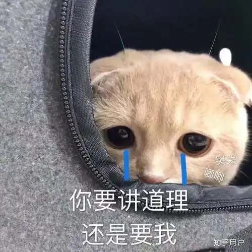 个人
