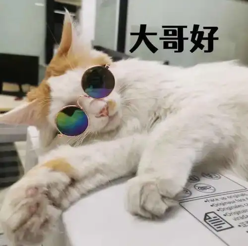 手机上交藏了一年的表情包
