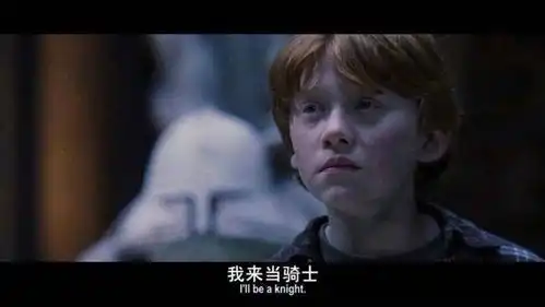 霍格沃茨收中国人吗段子文案笑yue了
