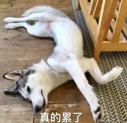 一天真的要喝8杯水吗有哪些关于喝水的谣言

