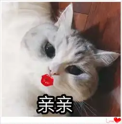 超甜猫咪表情包抱住圆滚滚的自己,我晕倒了要亲亲才能起来
