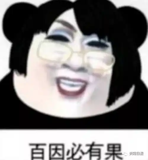 百因必有果,你的报应可以不是我
