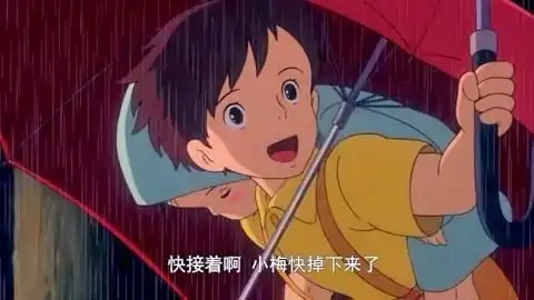 宫崎骏龙猫
