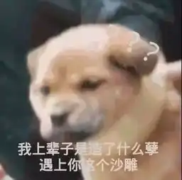 惹不起的表情包,看完全程,网友默默转走,十分感谢