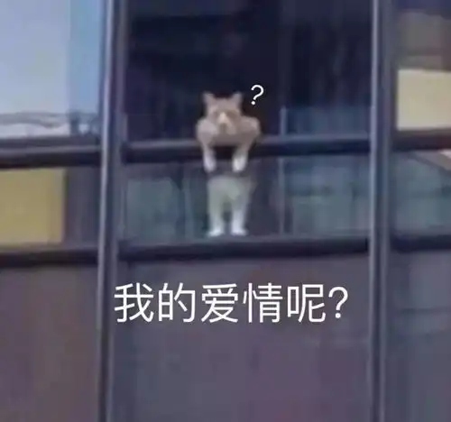 生活有一千种方法搞死社畜,我用37张表情包平息你的愤怒
