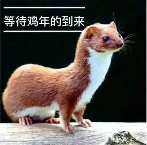 有哪些万万没想到的冷知识

