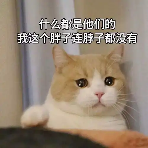 想要拥有精致尖下巴,去做医美有几个选择
