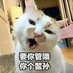 斗图必备治愈系可爱又沙雕斗图表情包,快拿去萌翻你的队友

