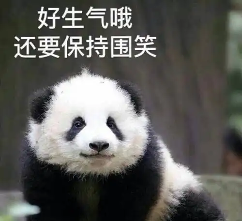 熟悉的雨又回到了陕西