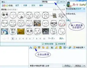 猥琐猫的表情包
