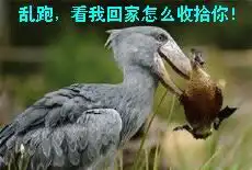 搞笑动物qq表情
