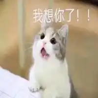 老婆找不到了表情包微信头像图片大全
