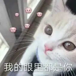 人生是要有梦想万一你喜欢上我卡通动漫头像我要个性网
