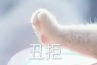 情侣牵手猫爪表情包,收好不谢
