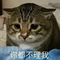 斗图必备表情包带我上分好不好
