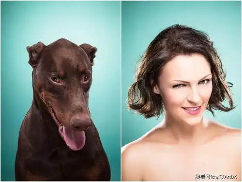 你和你的狗像吗英国摄影师的有趣发现,你的狗越来越像你
