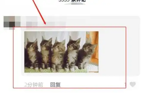 抖音5只猫摇头表情怎么发
