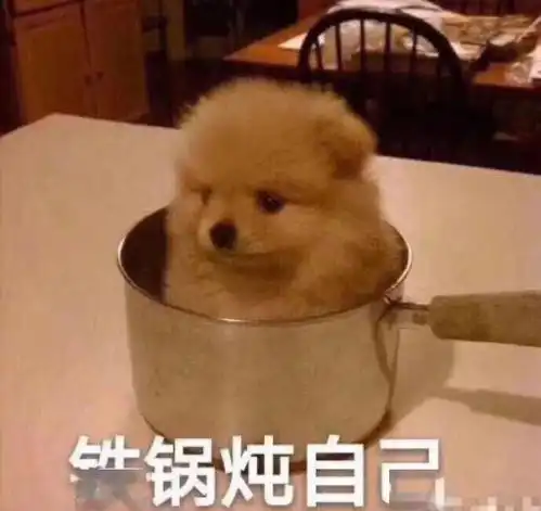 愣头青不怕忌讳惹恼长仙遭反噬宠物托梦闹乌龙真相
