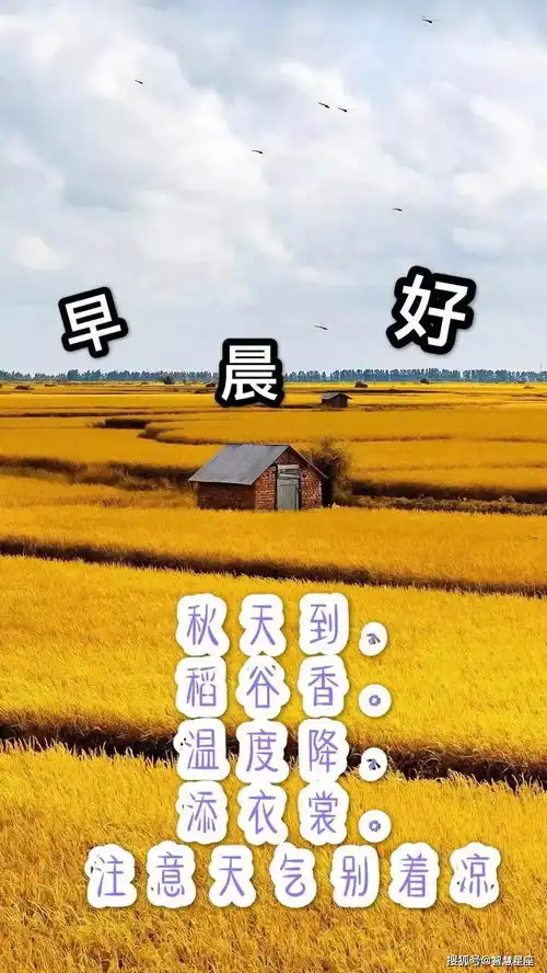 2021牛年最漂亮早上好动态表情图片大全,早晨好动图美图大全
