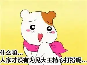 看家鼠表情包i萌萌哒,看着都想自己去养一只了
