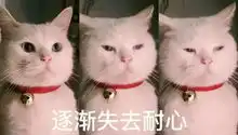 蔡国庆批小鲜肉不阳刚被喷了老艺术家的童年滤镜要崩了吗
