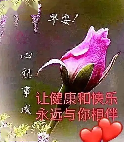 大家好早安吉祥表情包,美好的一天开始了,愿你开心好运气
