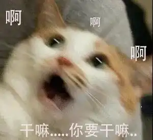 特别皮的表情包嘤嘤嘤你想干嘛,纯洁的我,迟早被你们带坏
