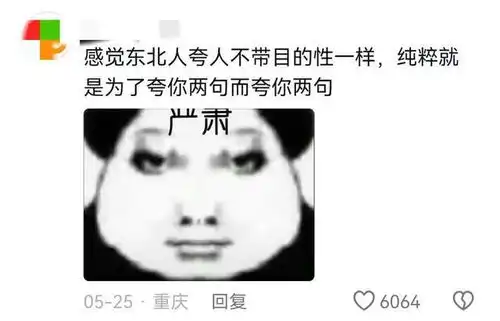 哈哈哈,据说东北人均赞美大师,路过都能夸你几句,评论区笑疯了
