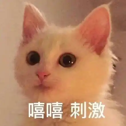 每日表情包分享,喜欢的宝贝们速来呀

