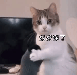 9.14抖音热门表情包
