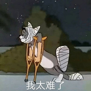 沙雕表情包你有什么可豪横的
