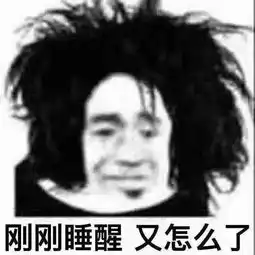 郎朗钢琴教学视频走红小孩最后学会了东北话被钢琴耽误了的表情包
