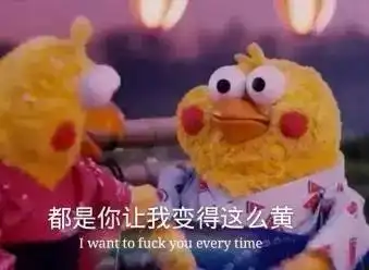 这两只炒鸡可爱的脆皮鸡一不小心成为中国鸡年的新一代网红可是人家明明是鹦鹉啊
