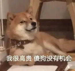 我很高贵,傻狗没有机会
