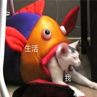 2021最新生活和我的表情包表达生活太难的表情合集
