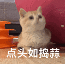一个真敢点,一个真敢接泰山上送外卖的小哥,我们找到了顺便问了问配送费
