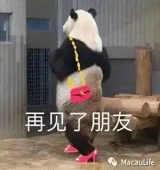 6种致癌降压药降临澳门卫生局相关市民嘅药千万唔可以停嘅

