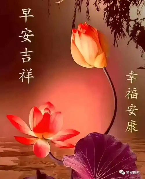 10月30日周一早上好,最新版漂亮早安祝福语表情图片大全,愿君周一吉祥安康
