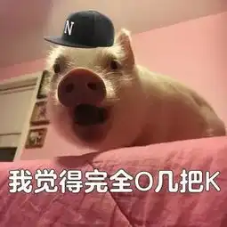 你知道我觉得还ok这个梗么简直是中国有嘻哈被黑的最惨的一次
