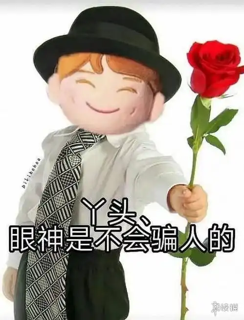丫头文学表情包大全丫头文学表情包有哪些
