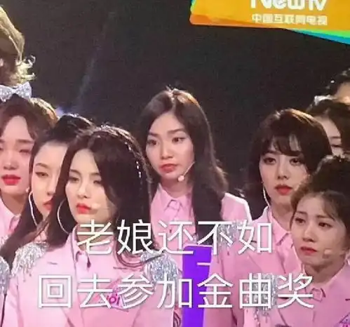 孟美岐杨超越狂欢的这一天,陈芳语默默用表情包c位出道了
