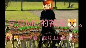 哈哈一群痴子奈何不了我,只能无能狂怒