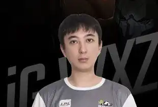 王思聪的电竞首秀,给段子界带来多少表情包
