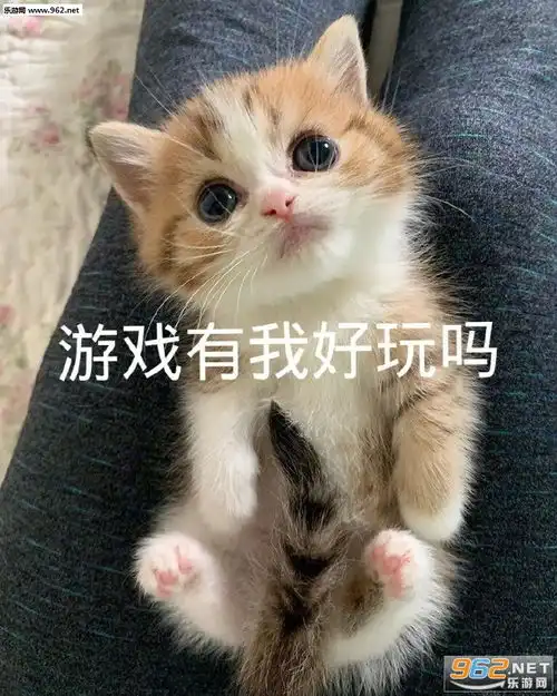 去他妈的人间疾苦表情包游戏有我好玩吗表情包下载乐游网游戏下载
