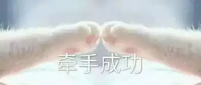 ad钙奶冰红茶酸奶这一届的粽子口味,比上届还要野

