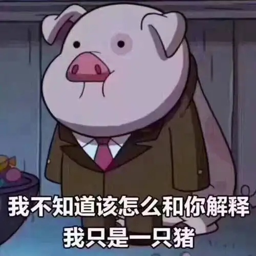 有哪些够你笑一辈子的沙雕图片
