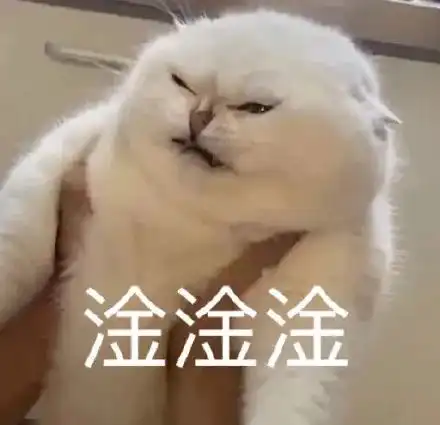 表情我淦表情包

