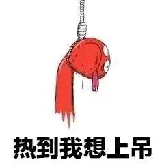 高温无水印表情包
