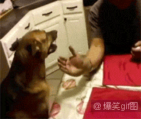 搞笑gif图片姑娘要注意身体知道吗
