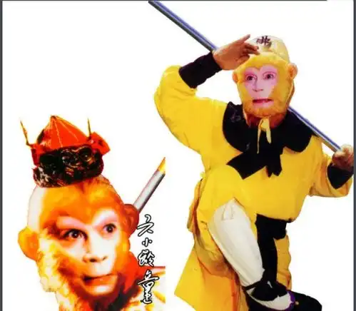孙悟空是什么猴
